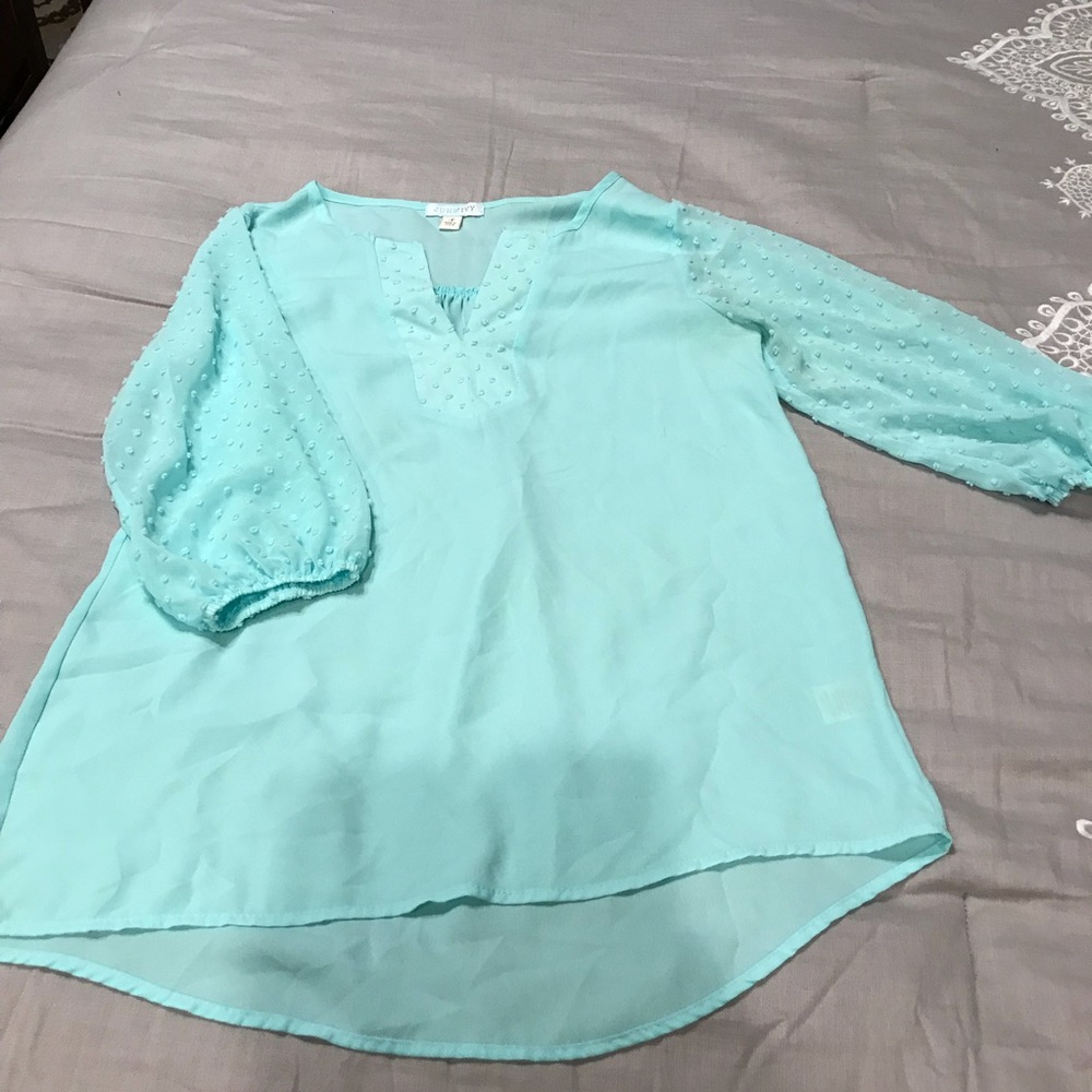 Mint sheer ladies blouse
